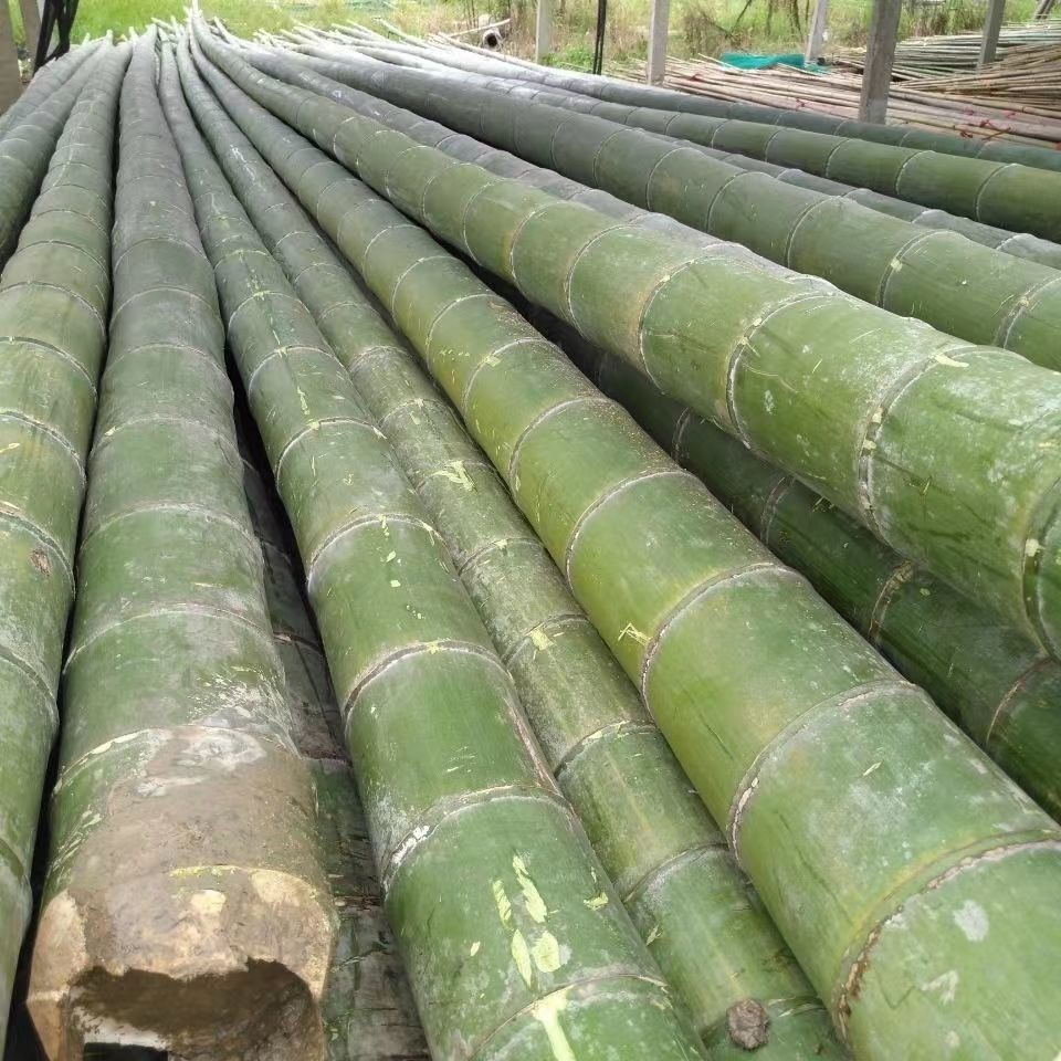 竹韵竹制品厂家一手货源批发毛竹水养殖用竹杆规格长短可定制图片