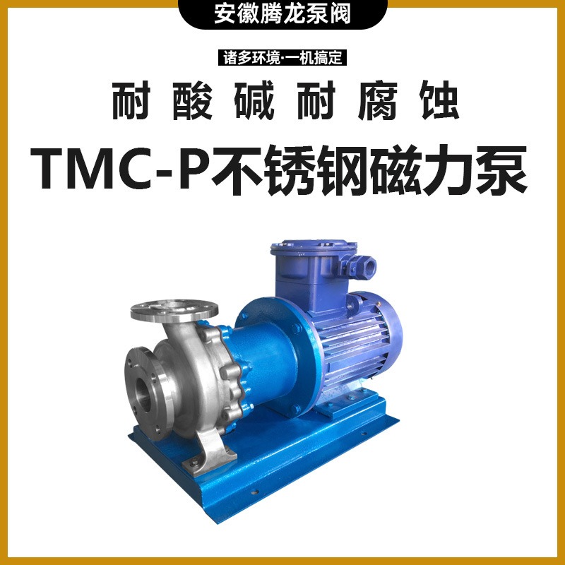 TMC65-50-125P不锈钢磁力泵 碱液泵 耐腐蚀磁力泵 腾龙泵阀