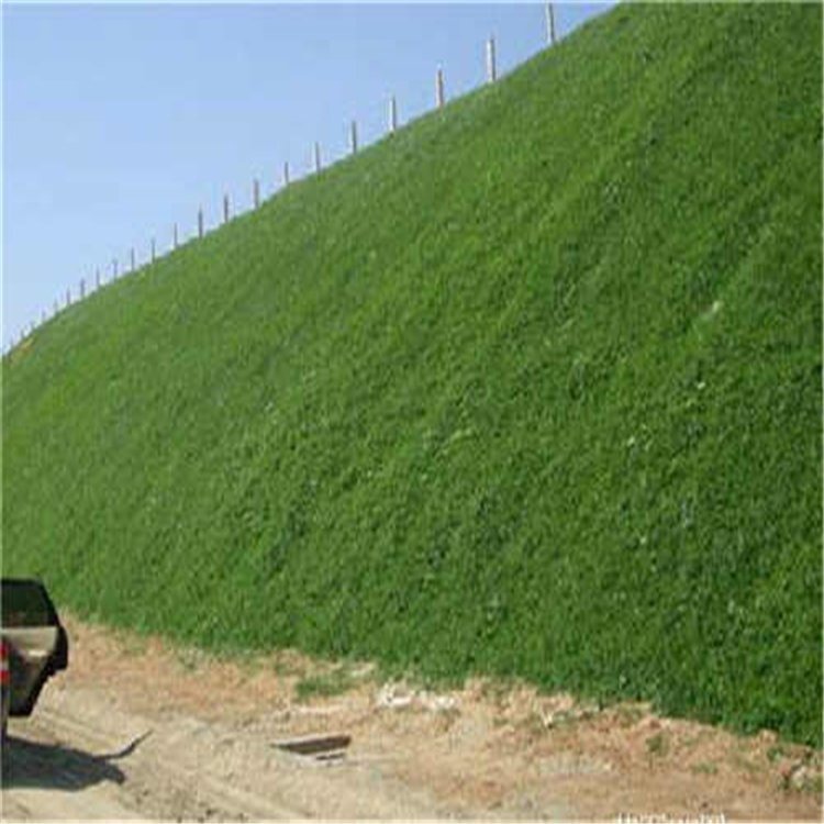 边坡防护喷灌 边坡防护大量现货 喷灌边坡绿化边坡绿化工程图片