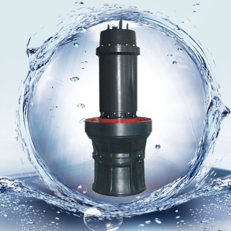 便携式轴流泵 污水潜水泵 大流量便携式轴流泵