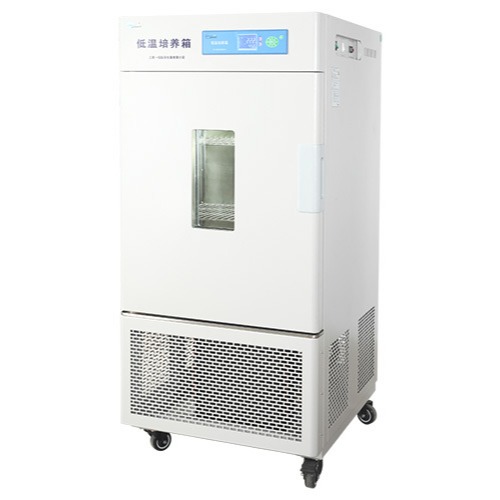 一恒低温培养箱  LRH系列    低温保存箱   微生物培养箱图片