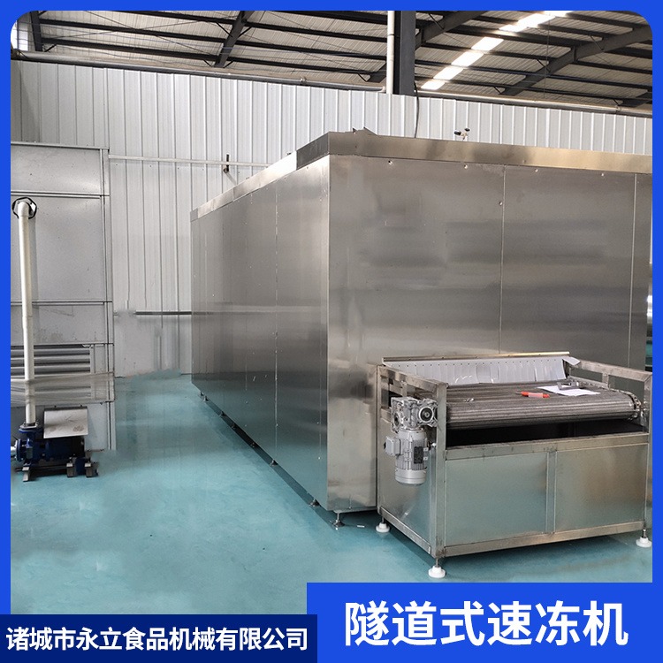 永立SD-300全自动鸡排单冻机 虾排隧道式速冻设备 液氮冷冻设备食品机械