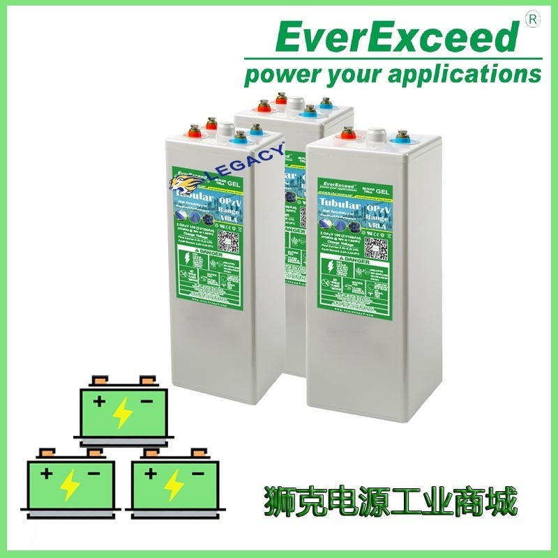 英国EverExceed 蓄电池狭长型12v电池2v系列电瓶