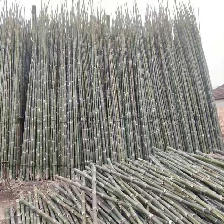 竹韵竹制品厂家 大量销售毛竹 农用竹竿 大棚长竹杆绿化用竹梢,大小可定制