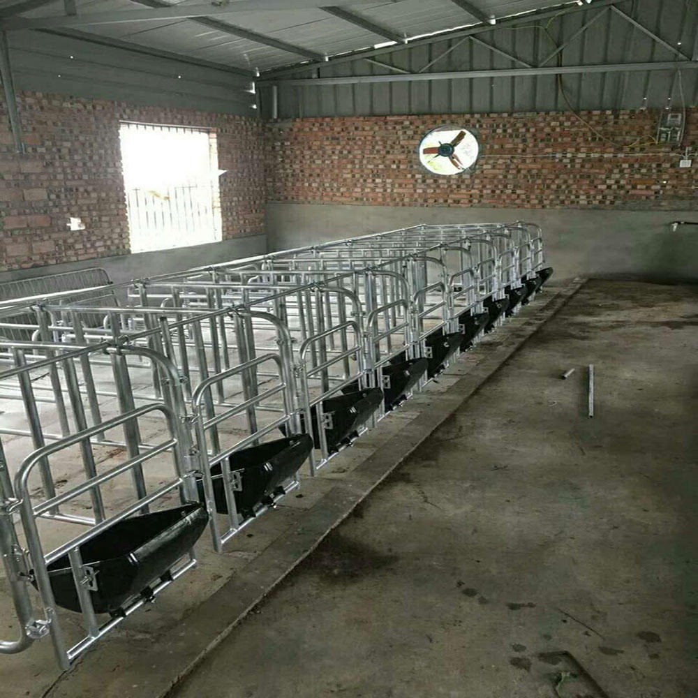 农业猪场设备定位栏 母猪定位栏 限位栏批发 世昌畜牧