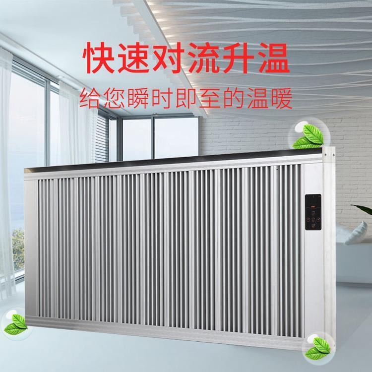 煤改电电暖器 暖硕 电暖器 家用电暖器片 NS-2碳纤维电暖器