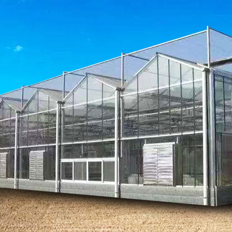 育苗大棚 舜禹农业 玻璃大棚可定制 蔬菜大棚 荷兰玻璃温室