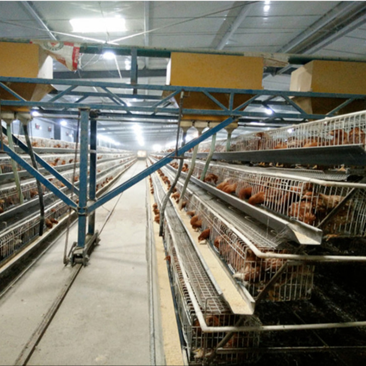 亿泽 鸡笼供应厂家 鸡笼鸡舍定做 阶梯式鸡笼