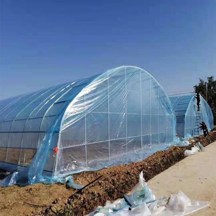 博利 春秋冷棚 塑料薄膜大棚  8米跨度蔬菜种植大棚