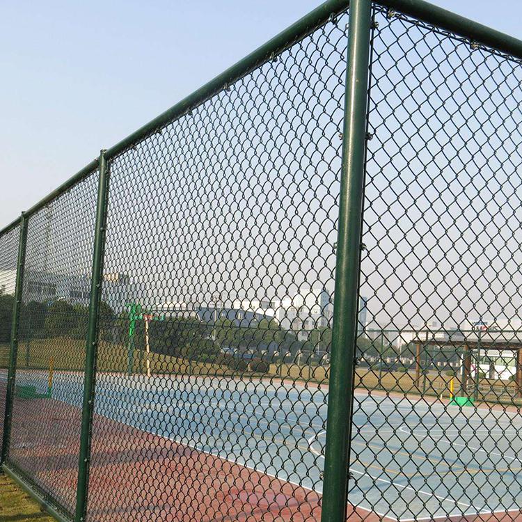 球场金属丝围网 球场围网灯柱 泰亿 球场围网材料 常年供应