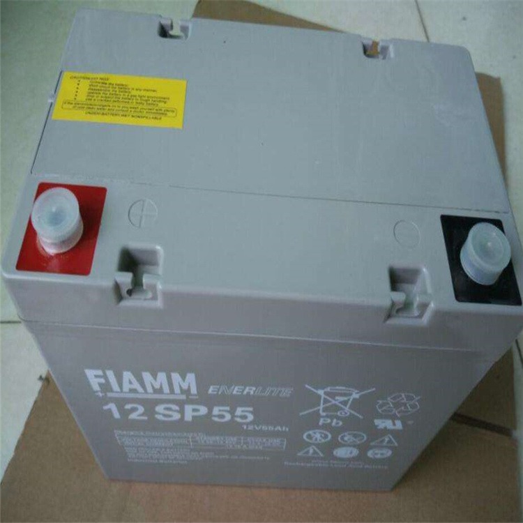 非凡蓄电池(FIAMM)12SP55 非凡12v55aH UPS蓄电池 后备1小时图片