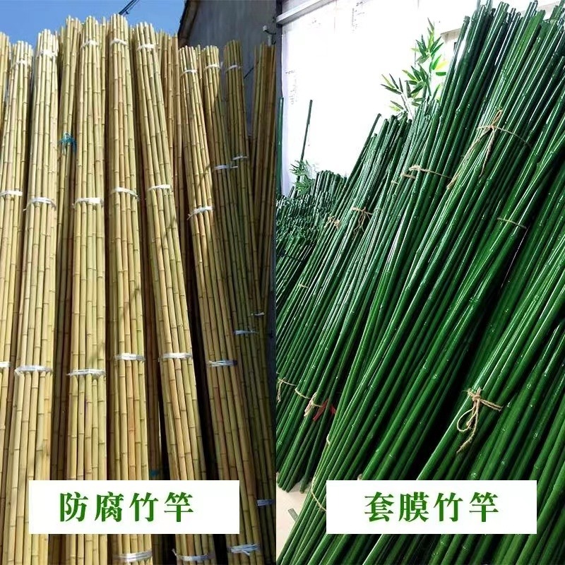 竹竿棍厂家菜园搭架细竹竿1.3米2米 2.4米3米 豆角爬藤搭架竹杆子规格可定制图片