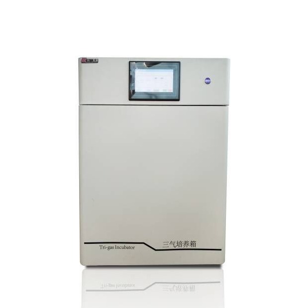 三气培养箱低氧胚胎培养箱 缺氧细胞恒温箱 多种混合气体培养箱设备