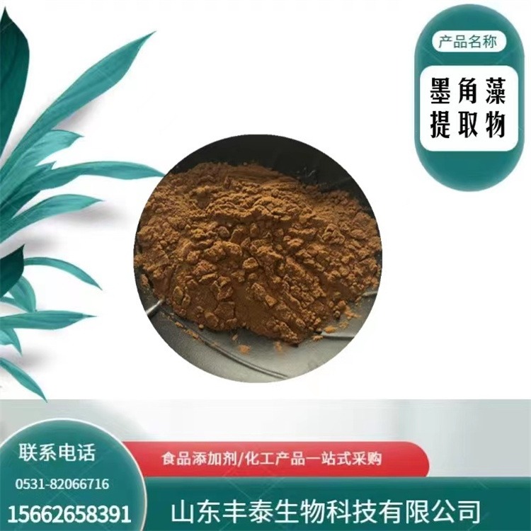 墨角藻提取物 30:1 比例提取墨角藻 墨角藻多糖 水溶性浓缩粉 丰泰食品级图片