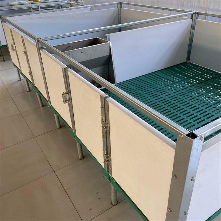 现代化猪场设备 欧式猪用保育床 猪哈哈 PVC板猪产床 复合板定位栏