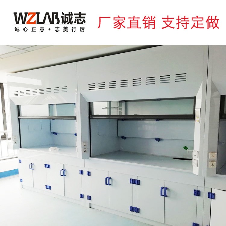 郑州PP通风柜实验室医院专用 智能排风系统环保健康万致厂家定制