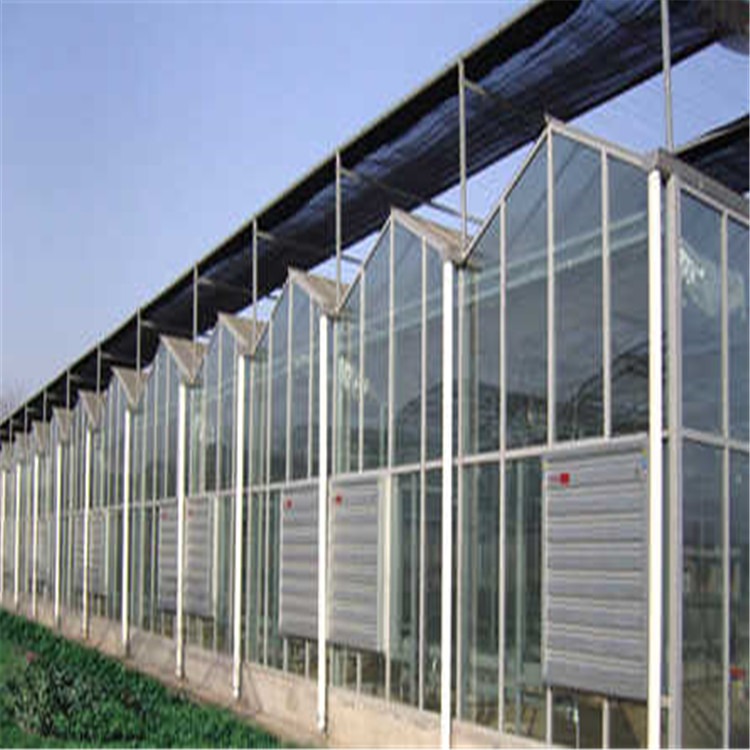 玻璃连栋温室安装 天津框架结构大棚旭航温室大棚建设