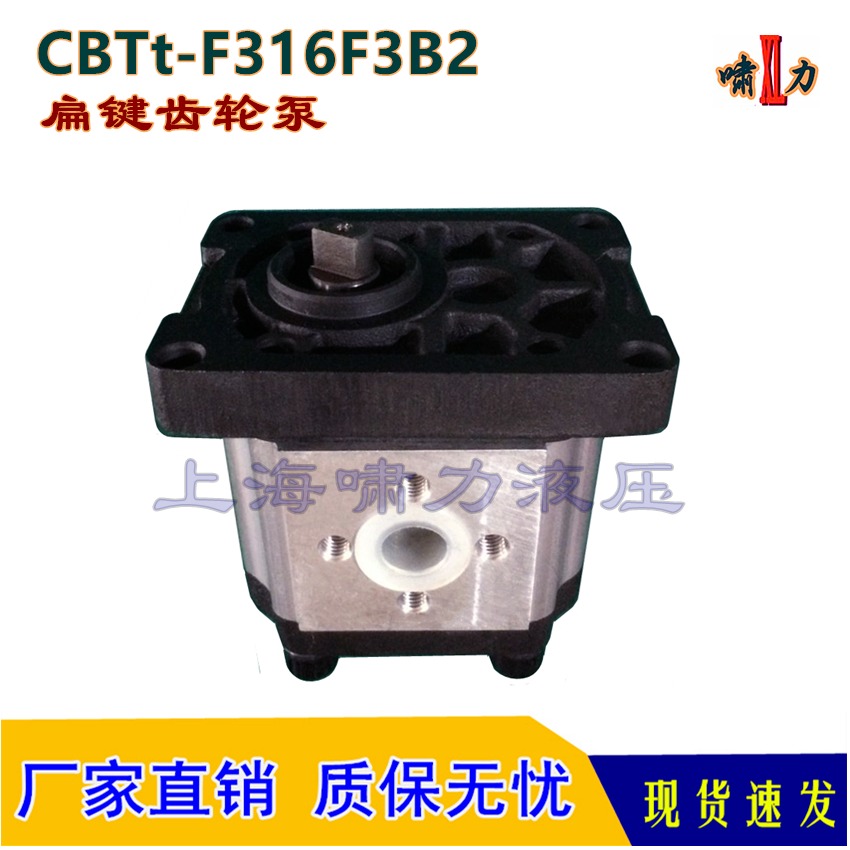 CBTt-F316F3B2 液压泵 上海啸力 CBTt-F306F3B2 可互换SDH齿轮泵上海大众图片
