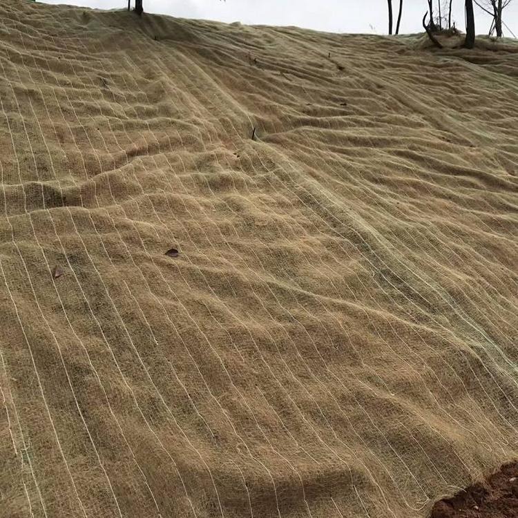 植物纤维毯生产厂家-加筋椰丝毯定制 保湿抗冲生物毯 抗冲生态毯-众汇可定制抗冲生物毯护坡图片