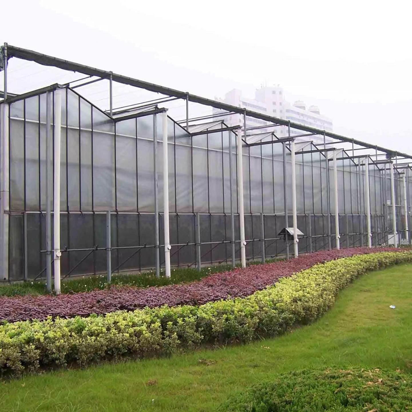 智能玻璃温室 适用于多地气候 自动控制温度 花卉蔬菜种植大棚