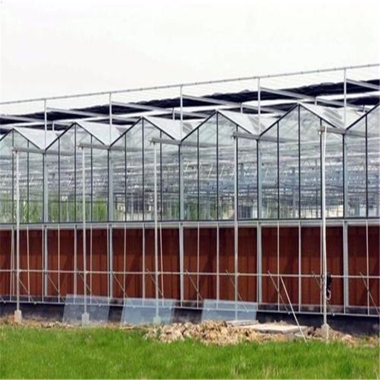 蔬菜大棚施工组设计  江苏玻璃温室建造造价  旭航温室大棚建设