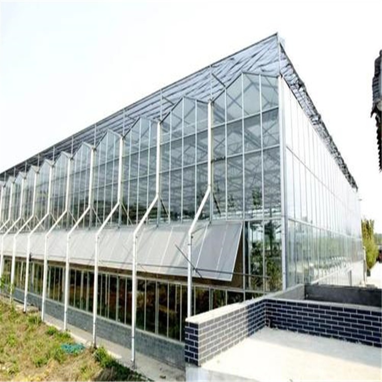 钢化膜玻璃温室 哈市新型温室大棚 旭航图片