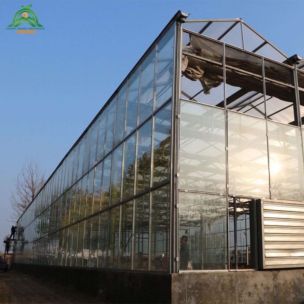 玻璃温室大棚建设高级化种植大棚施工方案 纹络型智能温室建造
